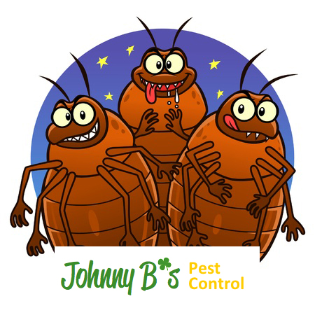 Bed Bug Tips from Johnny B’s Pest Control