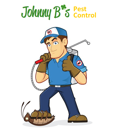 Stop Pests This Winter | Johnny B’s Pest Control