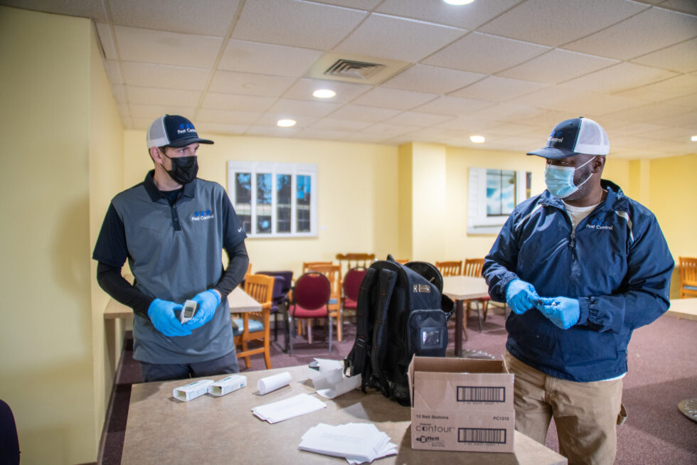 Cleaning up After Mouse Infestations Johnny B Pest Control