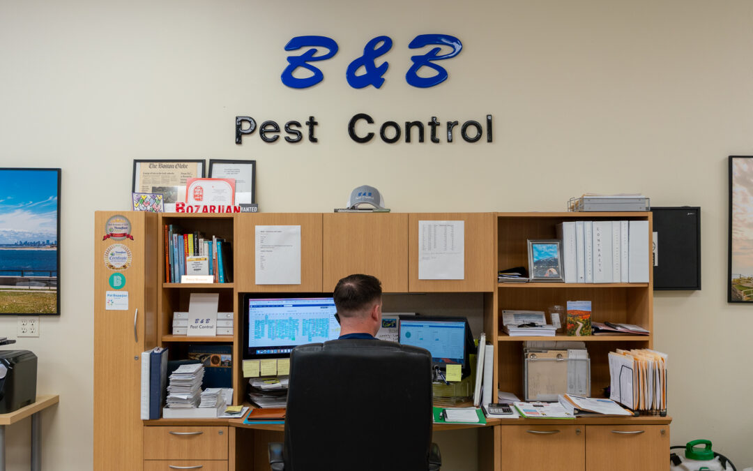 5 Early Termite Signs Every Homeowner Needs to Know