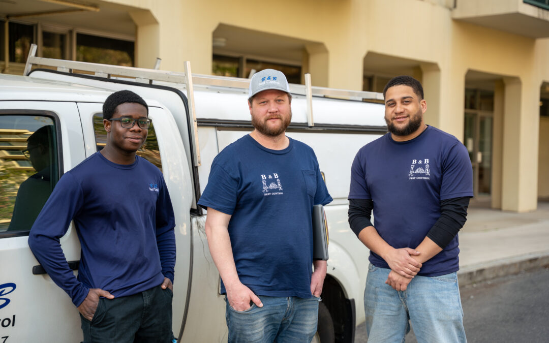 What Attracts Pests to Your Home (And How to Stop Them)