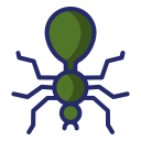 ant duo colored icon